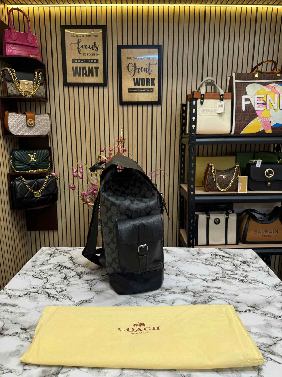 COCH LUURY PREMIUM BAGPACKšš„