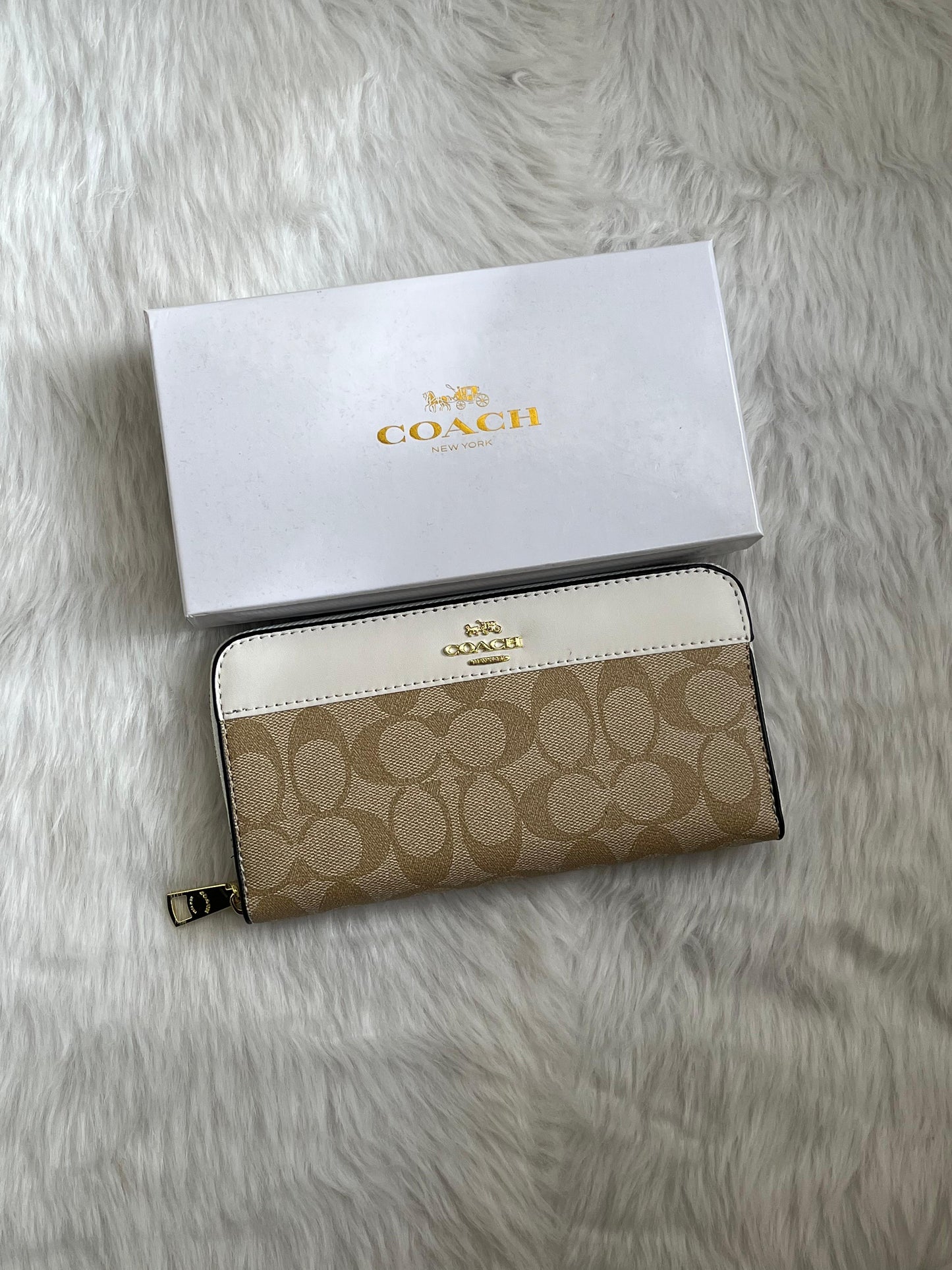 Coch 51 Zippy  Women Wallet