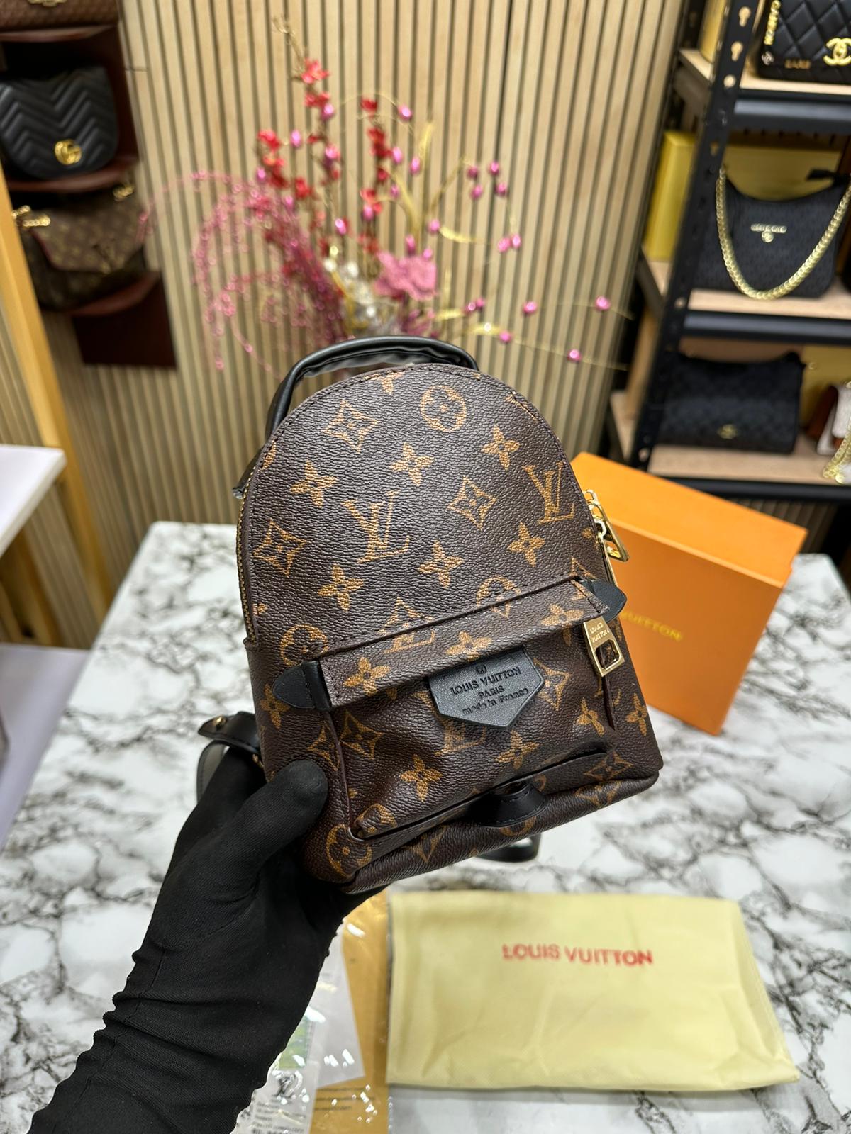 LOUS VUITON PALM SPRINGS MINI BAGPACK